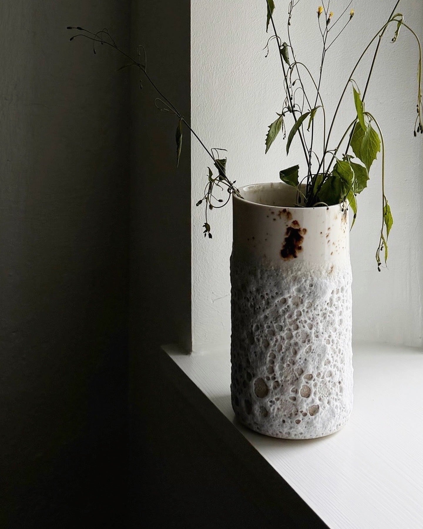 Havskums vase