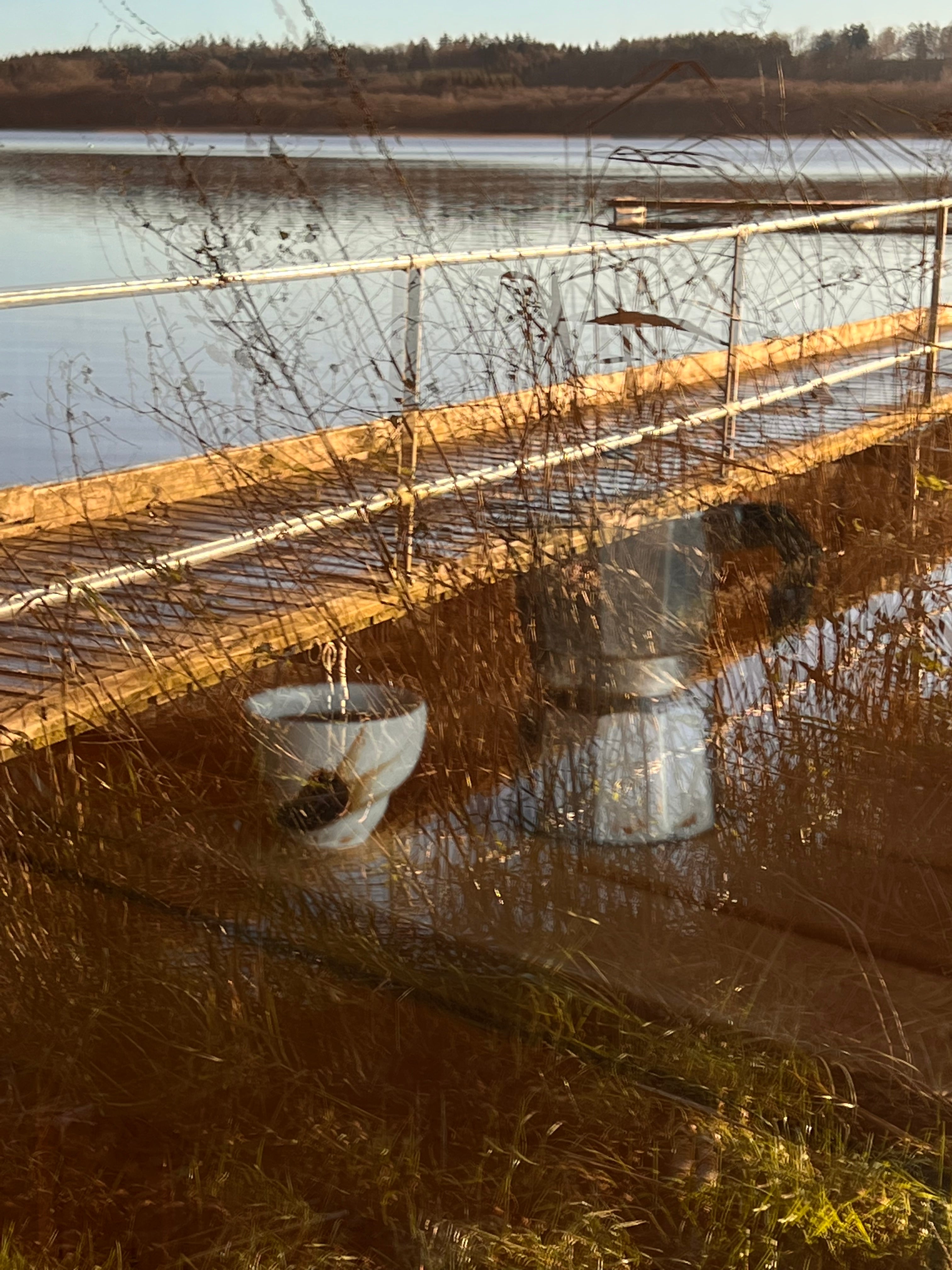 Sort sol kop - espresso