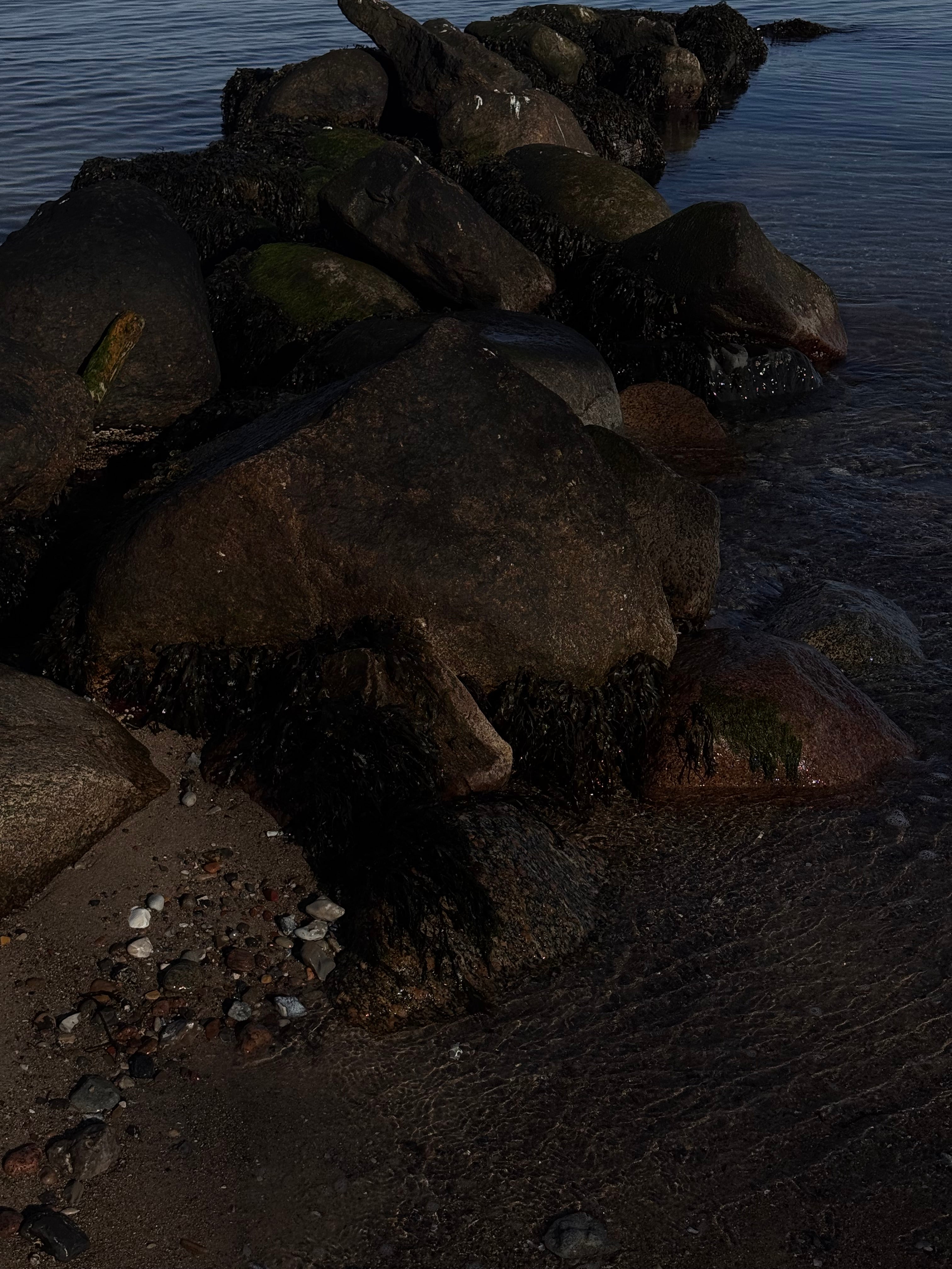 Stenbrudskop espresso