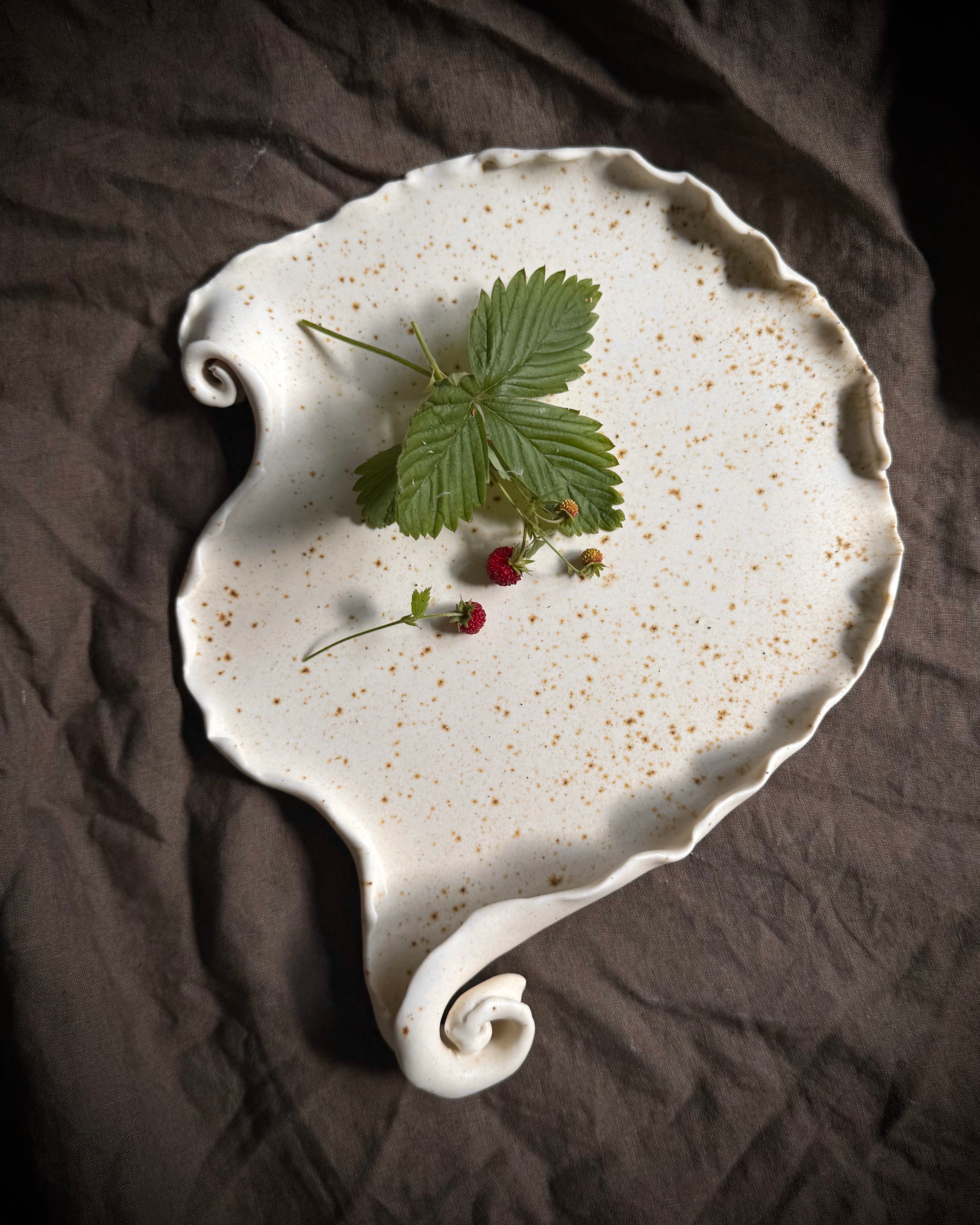 Fragments - NEW IN. Shell glaze