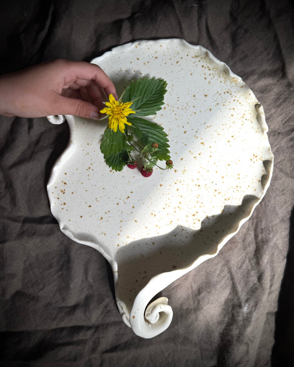 Fragments - NEW IN. Shell glaze