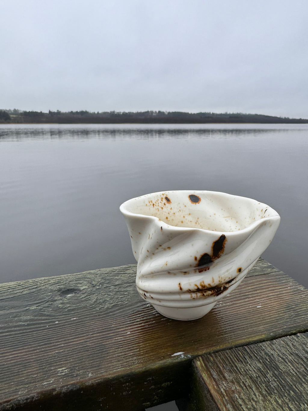 Swan cup