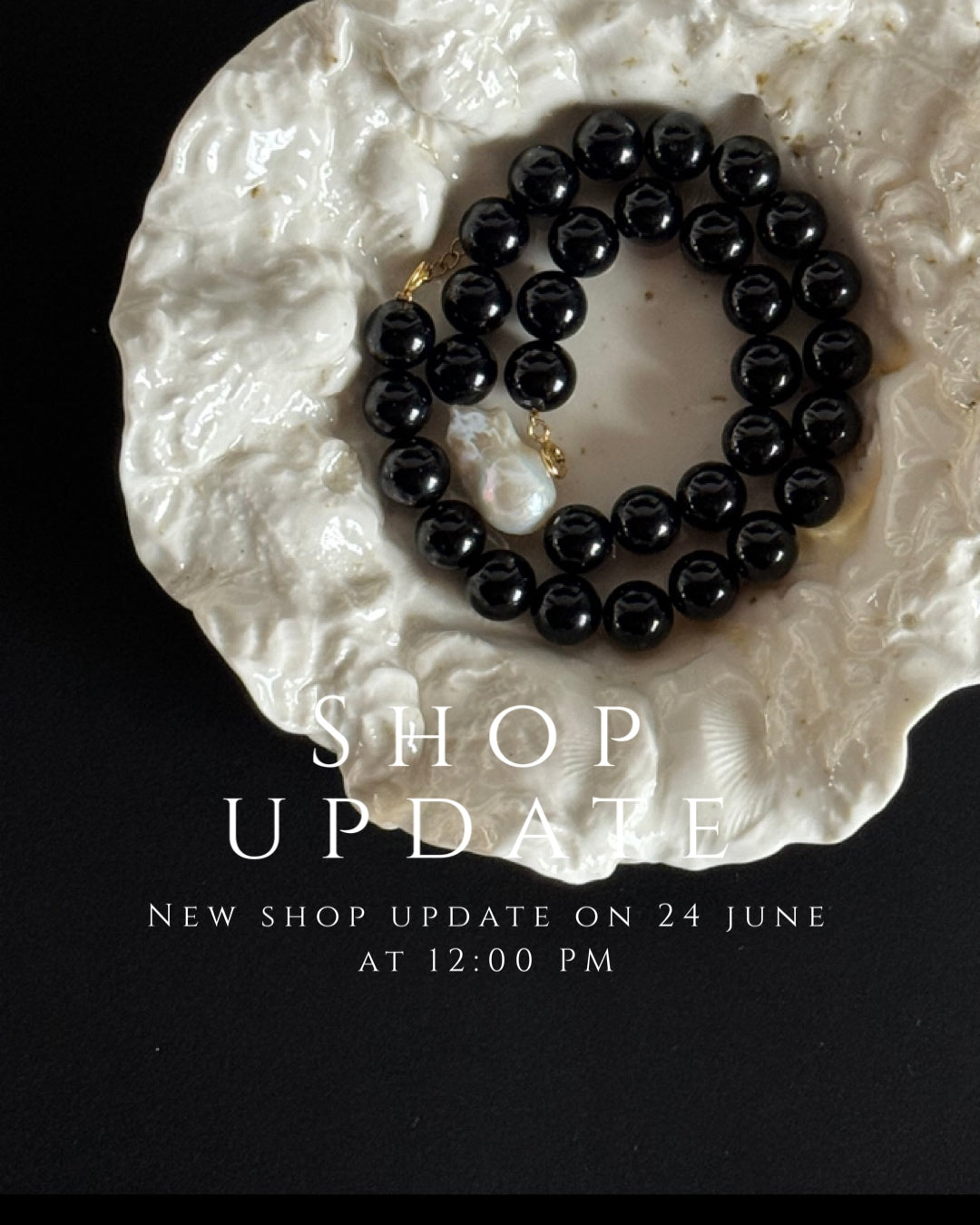 Venø skålen - Lille Shop update on 24 june at 12:00 PM