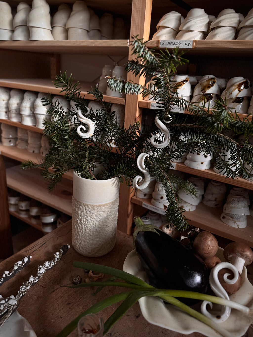 Kleine Porzellan-Meeresnotizen – 4er-Set